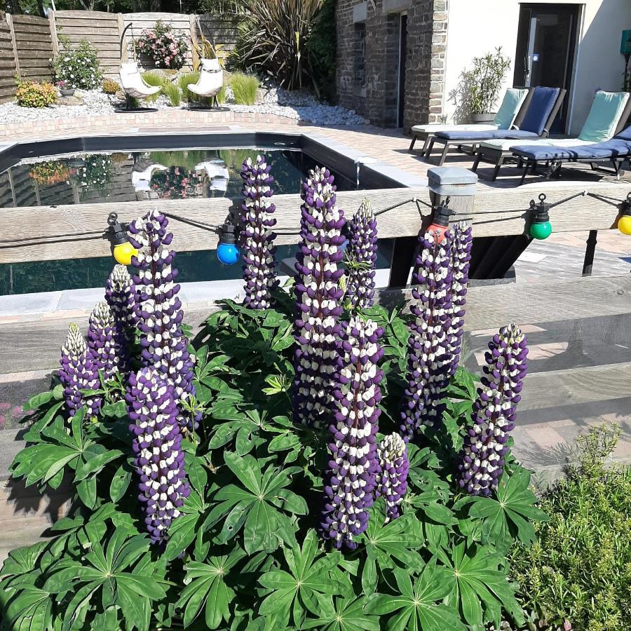 Le Val Daniniere B&B Adult Only Le Mesnil-Garnier エクステリア 写真